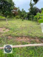 LAND FOR SALE – PLAI LAEM – KOH SAMUI – SURAT THANI – THAILAND