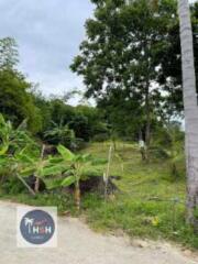 LAND FOR SALE – PLAI LAEM – KOH SAMUI – SURAT THANI – THAILAND