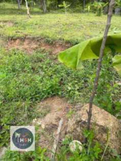 LAND FOR SALE – PLAI LAEM – KOH SAMUI – SURAT THANI – THAILAND