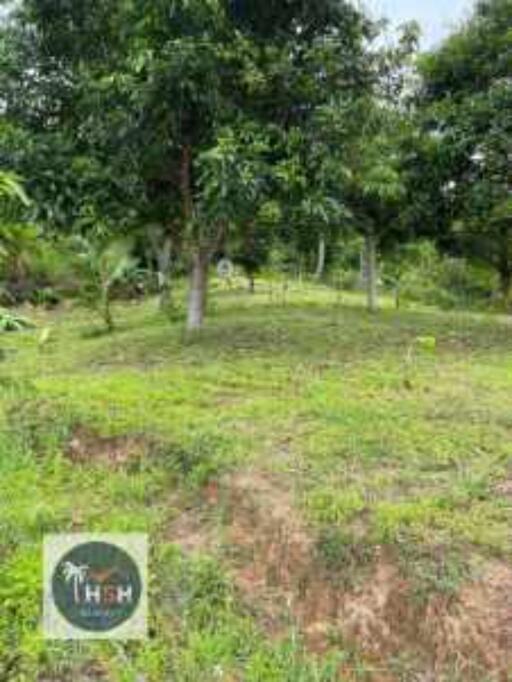 LAND FOR SALE – PLAI LAEM – KOH SAMUI – SURAT THANI – THAILAND