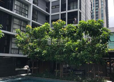 For RENT : MODE Sukhumvit 61 / 1 Bedroom / 1 Bathrooms / 55 sqm / 38000 THB [10075587]