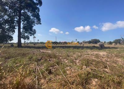 18 Rai 292 sqw Land Plot in Bang Lamung