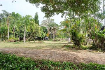 588 sqw Land Plot in Sattahip