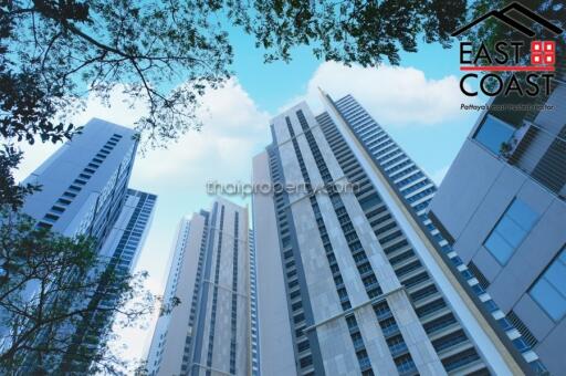 Northpoint  Condo for rent in Wongamat Beach, Pattaya. RC5927