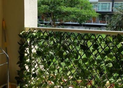 City Garden Condo for rent in Pattaya City, Pattaya. RC10462