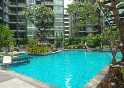 Apus  Condo for sale and for rent in Pattaya City, Pattaya. SRC6244