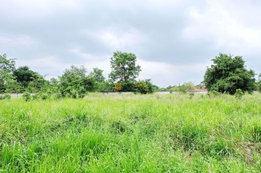 364 wah² Land Plot in East Pattaya