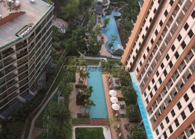 Unixx Condo for rent in Pratumnak Hill, Pattaya. RC8367