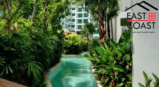 Amazon Residence Condo for sale and for rent in Jomtien, Pattaya. SRC7610