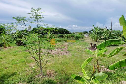 246 wah² Land Plot in Chonburi