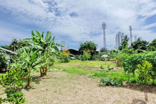 246 wah² Land Plot in Chonburi