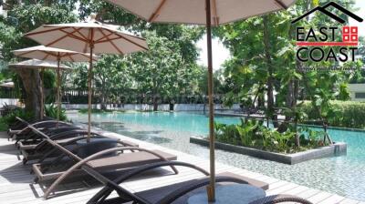 Zire Condo for rent in Wongamat Beach, Pattaya. RC13563