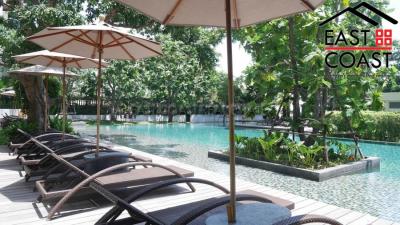 Zire Condo for rent in Wongamat Beach, Pattaya. RC8967