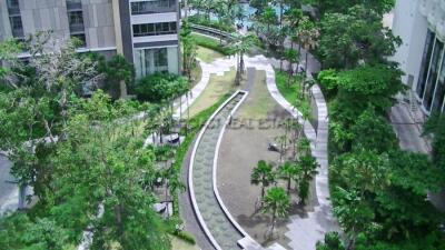 Northpoint Condo for rent in Wongamat Beach, Pattaya. RC7197