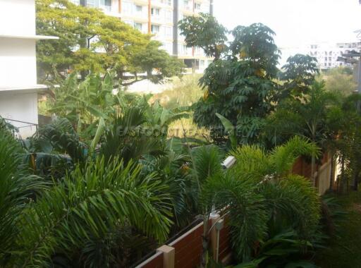 City Garden Condo for sale and for rent in Pattaya City, Pattaya. SRC1929