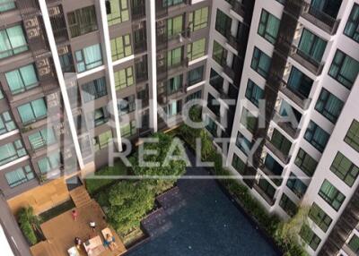 For RENT : Rhythm Sukhumvit 36-38 / 2 Bedroom / 2 Bathrooms / 56 sqm / 50000 THB [4638287]