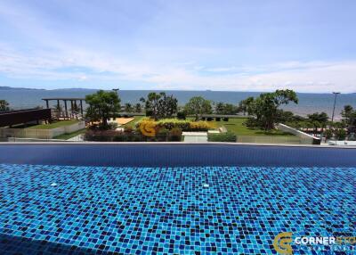 1 bedroom Condo in Cetus Condo Jomtien