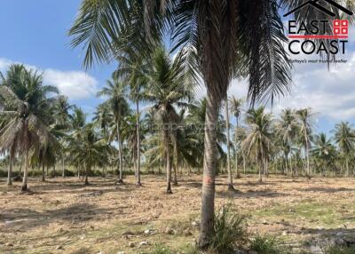 Land for sale in Pong Land for sale in East Pattaya, Pattaya. SL13661