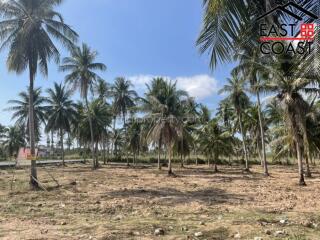 Land for sale in Pong Land for sale in East Pattaya, Pattaya. SL13661