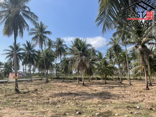 Land for sale in Pong Land for sale in East Pattaya, Pattaya. SL13661