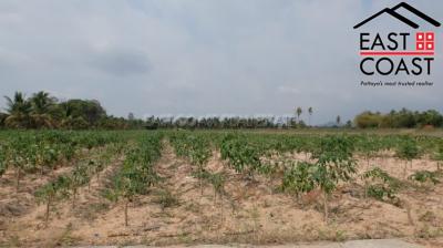 Land at Pong Land for sale in East Pattaya, Pattaya. SL11470