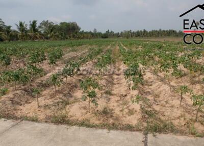 Land at Pong Land for sale in East Pattaya, Pattaya. SL11470