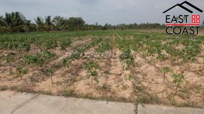 Land at Pong Land for sale in East Pattaya, Pattaya. SL11470