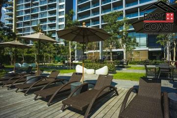 Zire Condo for rent in Wongamat Beach, Pattaya. RC8085