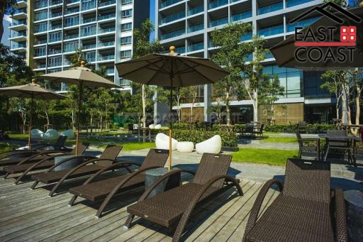 Zire Condo for rent in Wongamat Beach, Pattaya. RC8085