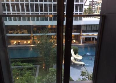 For RENT : Noble Ploenchit / 1 Bedroom / 1 Bathrooms / 57 sqm / 50000 THB [10530209]