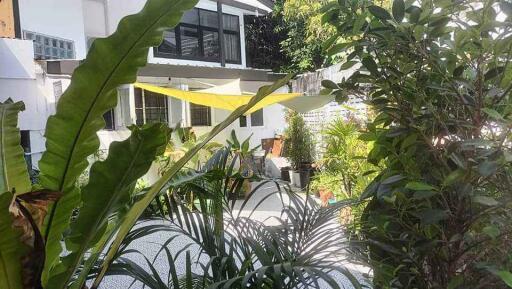 For RENT : House Chidlom / 2 Bedroom / 2 Bathrooms / 240 sqm / 55000 THB [R10798]