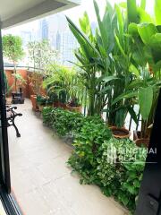 For RENT : Kiarti Thanee City Mansion / 3 Bedroom / 3 Bathrooms / 195 sqm / 60000 THB [8750582]