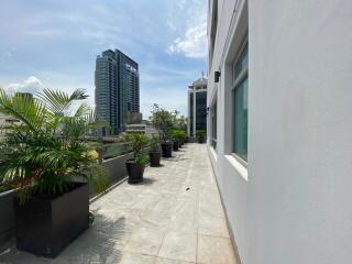 For RENT : The Madison / 3 Bedroom / 3 Bathrooms / 220 sqm / 95000 THB [R10649]