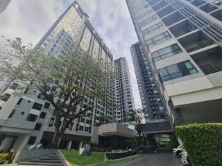 Condo for rent Pattaya The Base