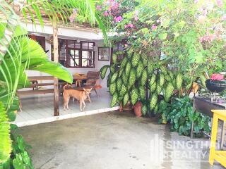 For RENT : House Thonglor / 3 Bedroom / 3 Bathrooms / 241 sqm / 140000 THB [7131331]