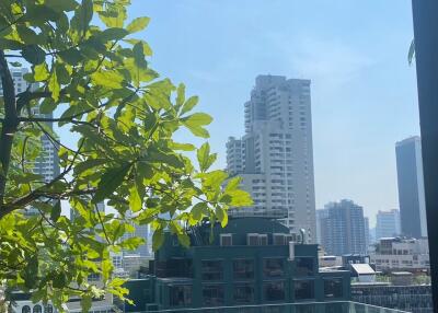 For SALE : Siamese Exclusive Sukhumvit 31 / 1 Bedroom / 1 Bathrooms / 64 sqm / 11500000 THB [S11325]