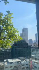 For SALE : Siamese Exclusive Sukhumvit 31 / 1 Bedroom / 1 Bathrooms / 64 sqm / 11500000 THB [S11325]