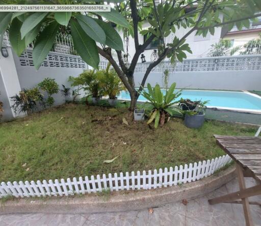 Single house with private pool at Sukhumvit soi 34 - 3 bedrooms 3 bathrooms - 300sqm - For rent: Price: 90,000THB/Month