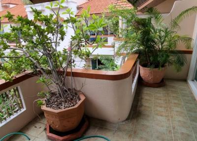 2 bedrooms 2 bathrooms size 160sqm. el patio for Rent 30,000THB