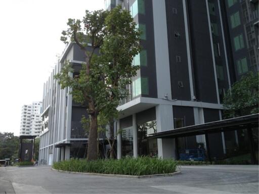 2 Bedrooms 2 Bathrooms Size 72sqm. CEIL By Sansiri for Rent 39,000 THB for Sale 9.5mTHB