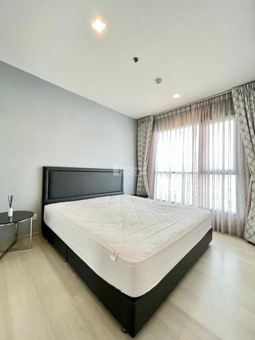 For RENT : Life Sukhumvit 48 / 2 Bedroom / 2 Bathrooms / 60 sqm / 37000 THB [R10597]