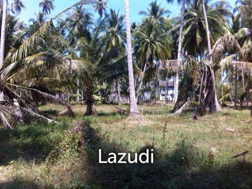 FLAT LAND WALKING DISTANCE TO THE BEACH  SAMUI