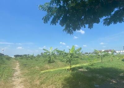 48,780 Sqm. Land listed for ฿ 792,675,000.