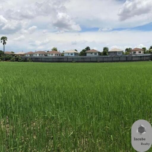 31,223 Sqm. Land listed for ฿ 488,000,000.