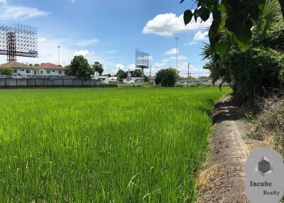 31,223 Sqm. Land listed for ฿ 488,000,000.