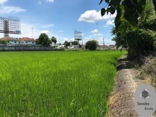 31,223 Sqm. Land listed for ฿ 488,000,000.