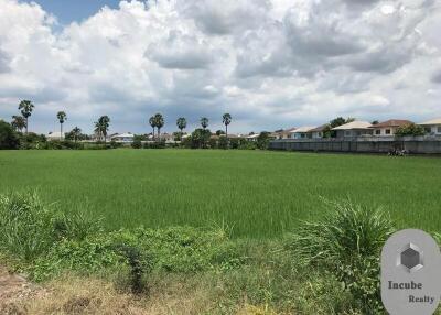 31,223 Sqm. Land listed for ฿ 488,000,000.