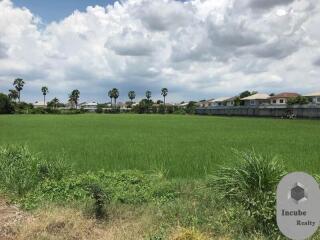 31,223 Sqm. Land listed for ฿ 488,000,000.