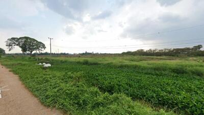 82,559 Sqm. Land listed for ฿ 318,000,000.