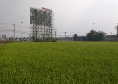 22,376 Sqm. Land listed for ฿ 174,812,500.